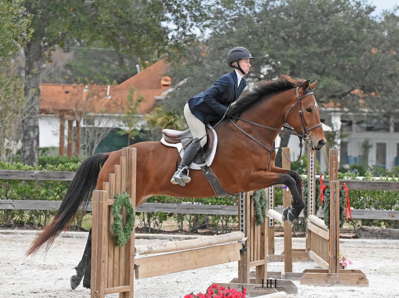 K&H Equine gallery photo 16