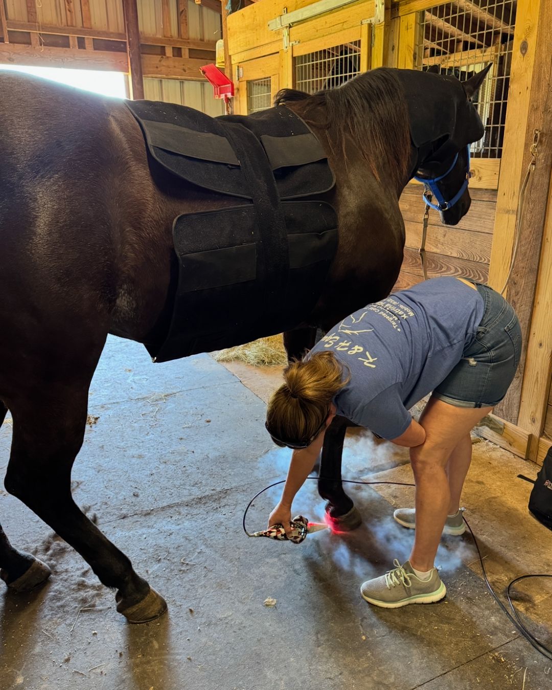 K&H Equine recovery support session